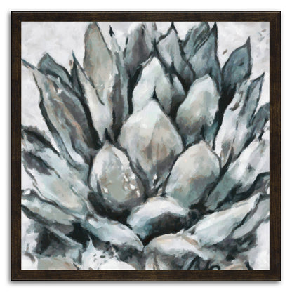 Cereus Echeveria