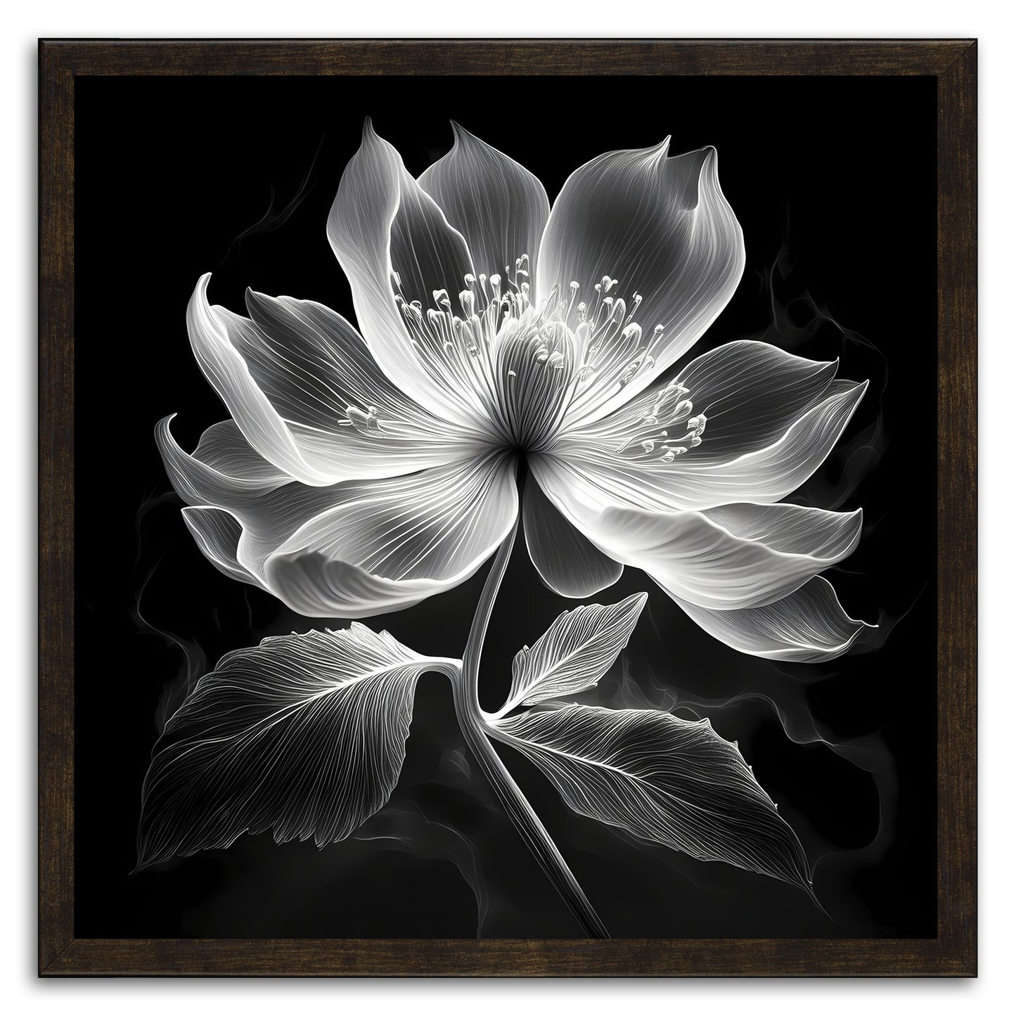 Xray Jasmine II