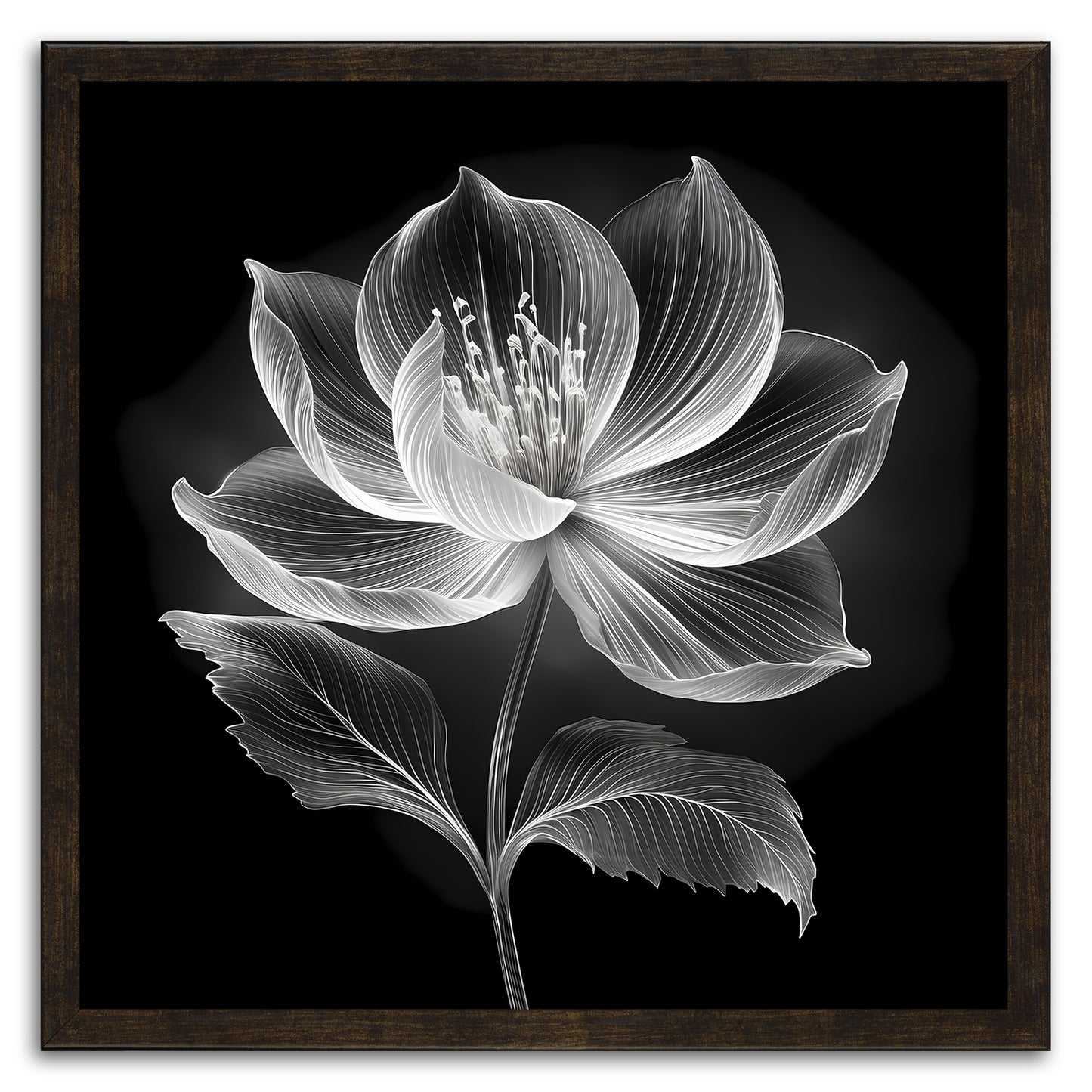 Xray Jasmine III