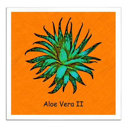 Abstract Aloe Vera II