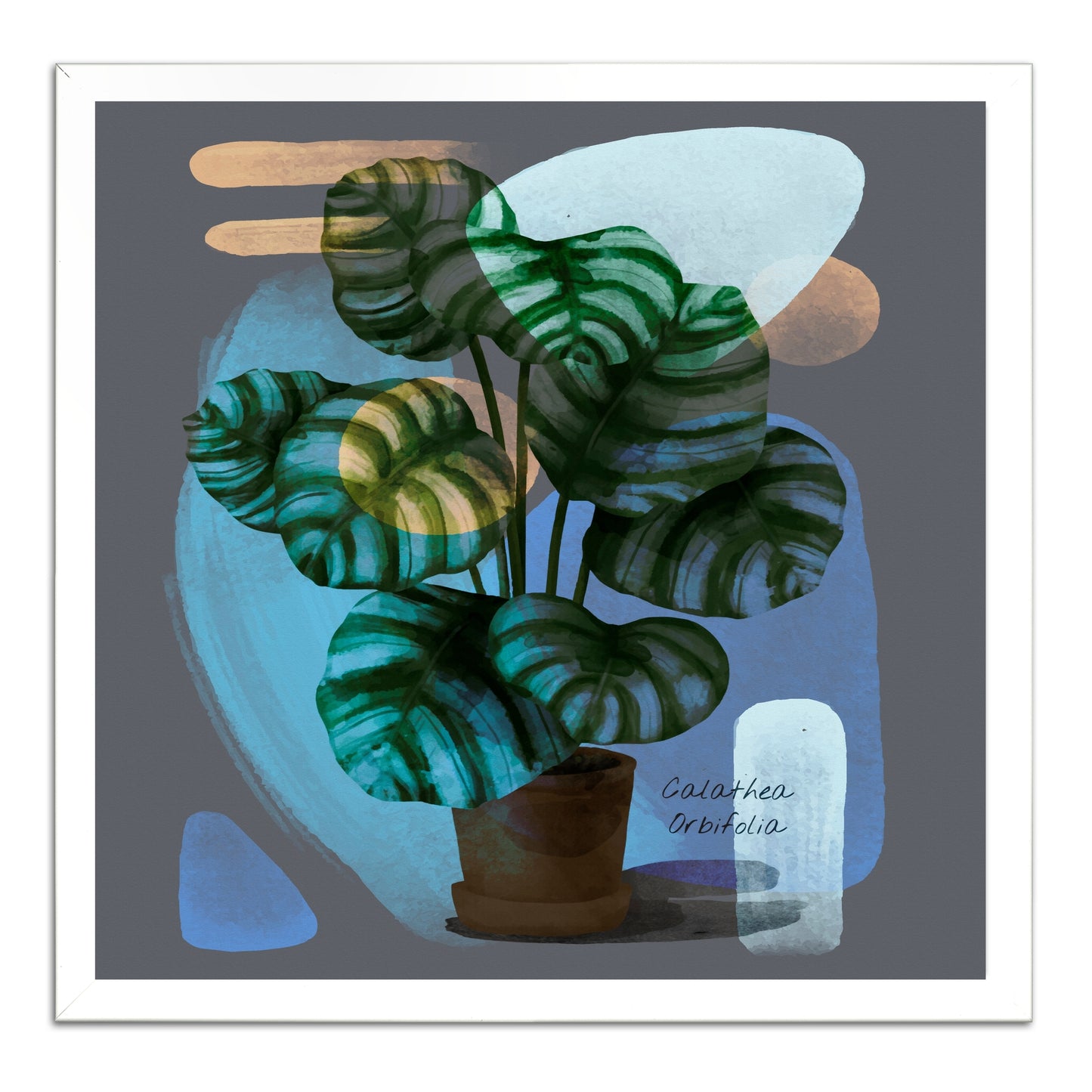 Abstract Calathea Orbifolia Painting Print