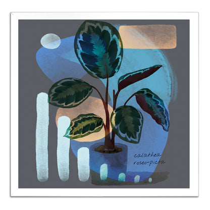 Abstract Calathea Roseo-Picta Painting Print