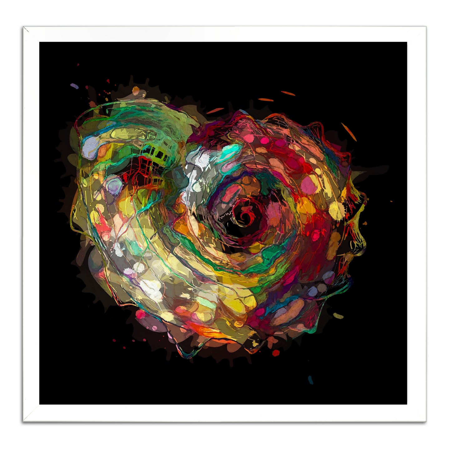 Boho Nautilus Shell 247