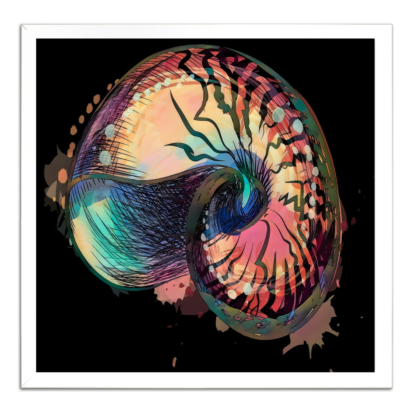 Boho Nautilus Shell 248