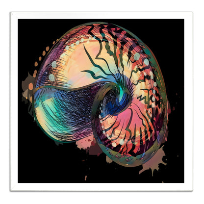 Boho Nautilus Shell 248