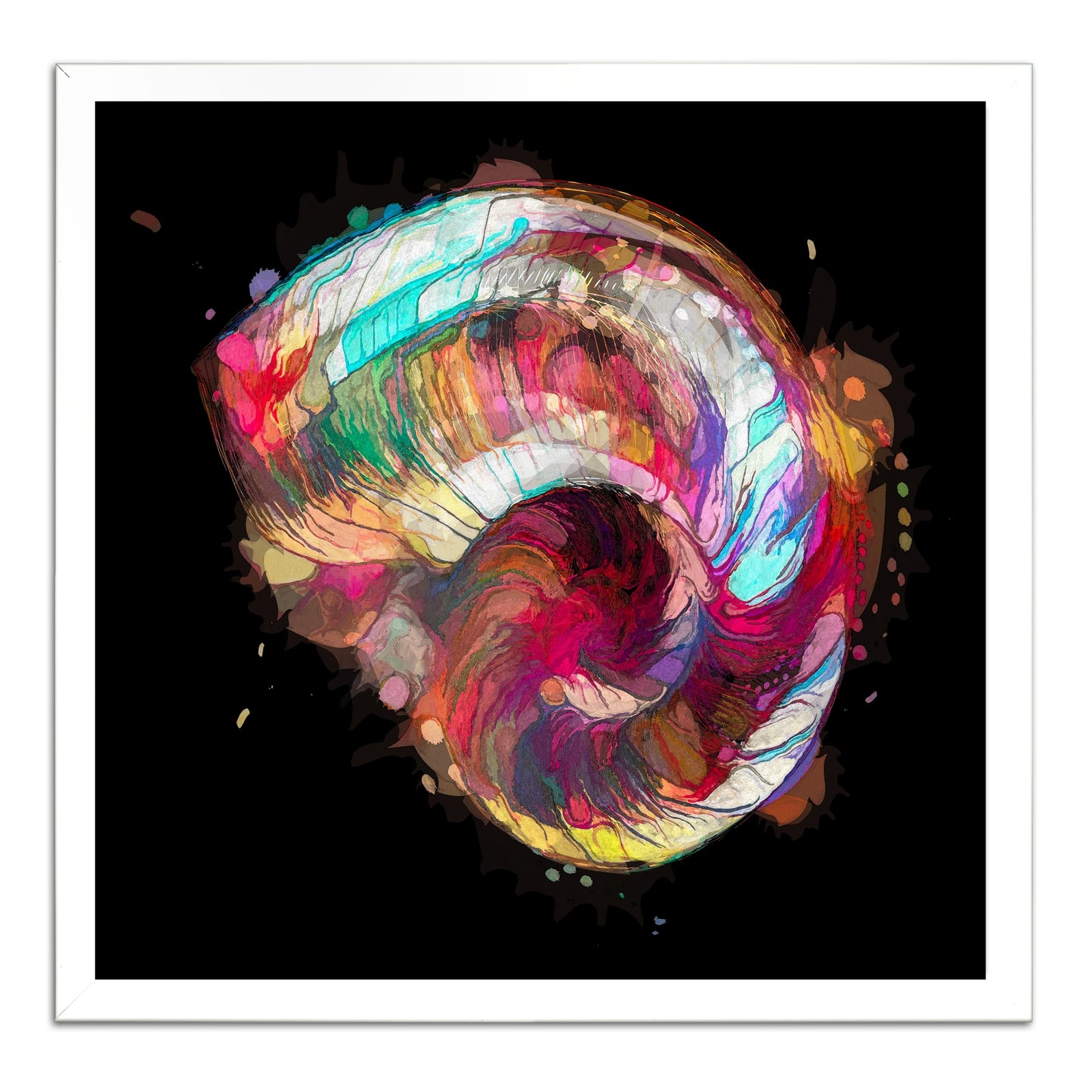 Boho Nautilus Shell 249