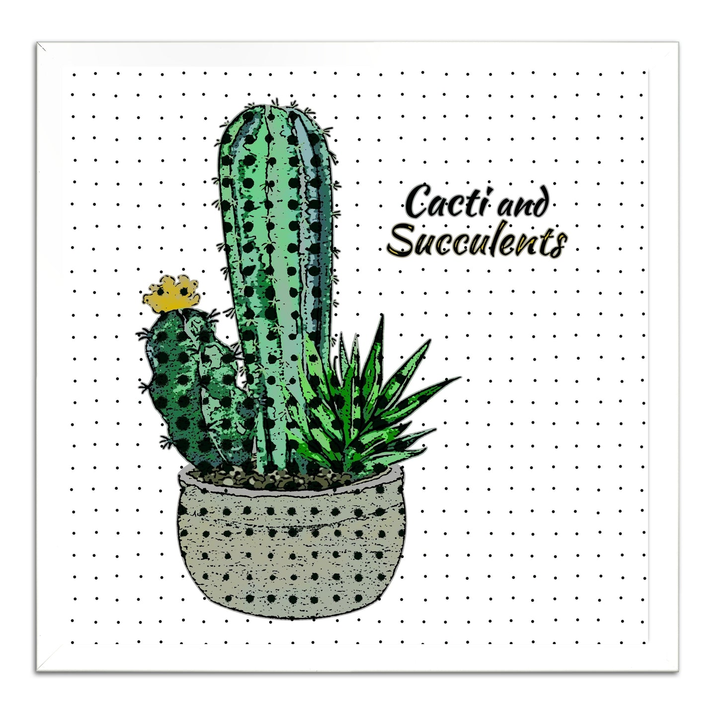 Cacti And Succulents 41