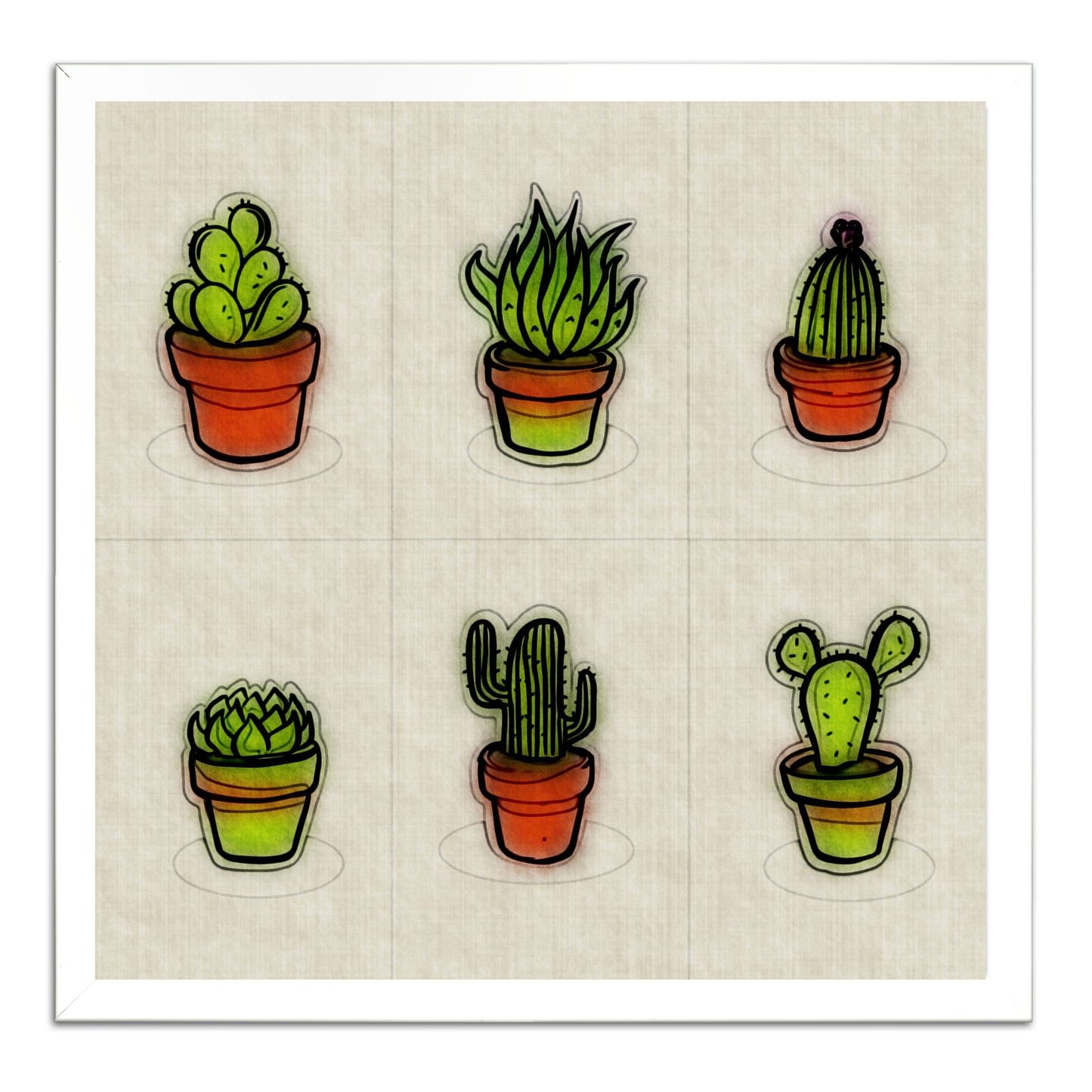 Cacti Collection