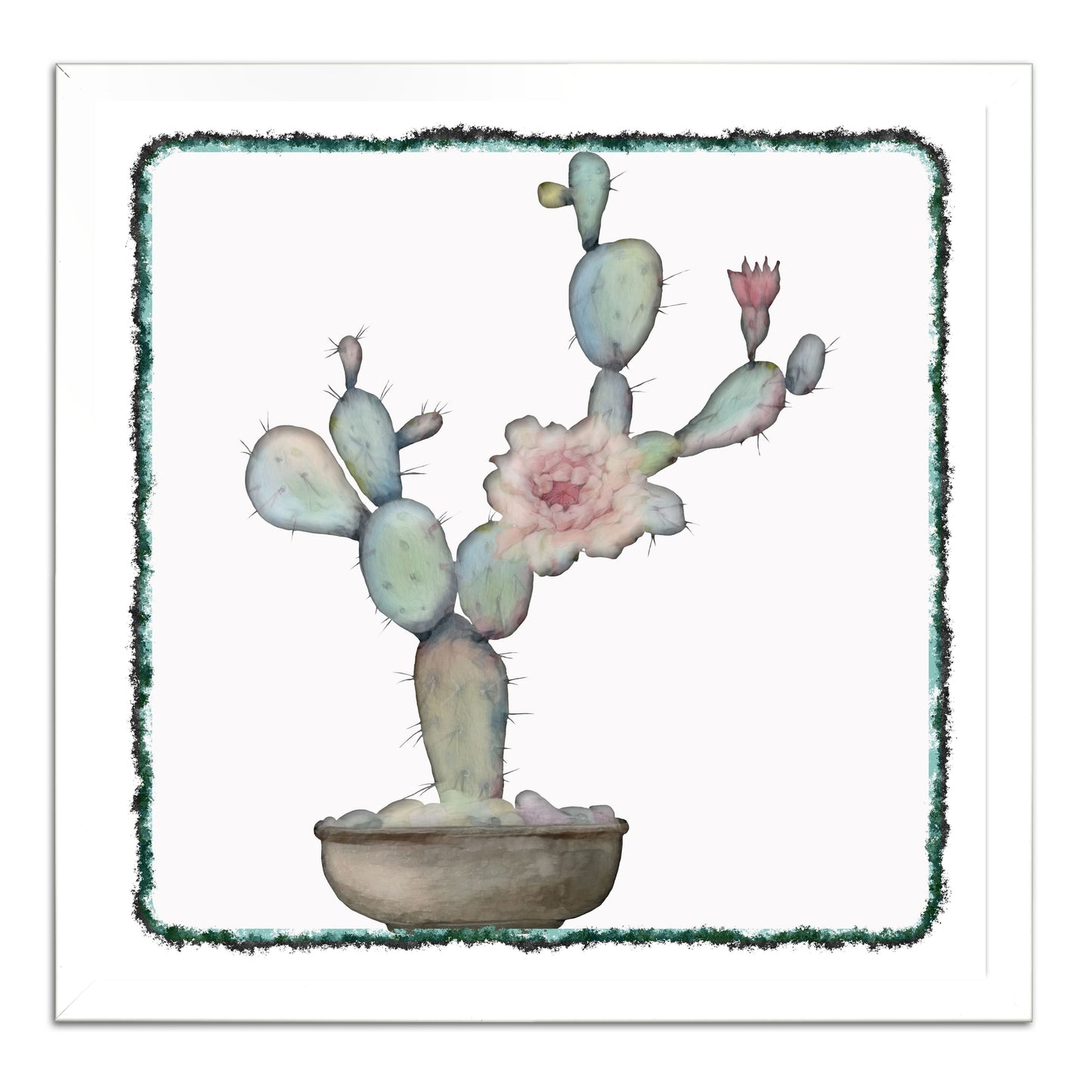 Cactus 534