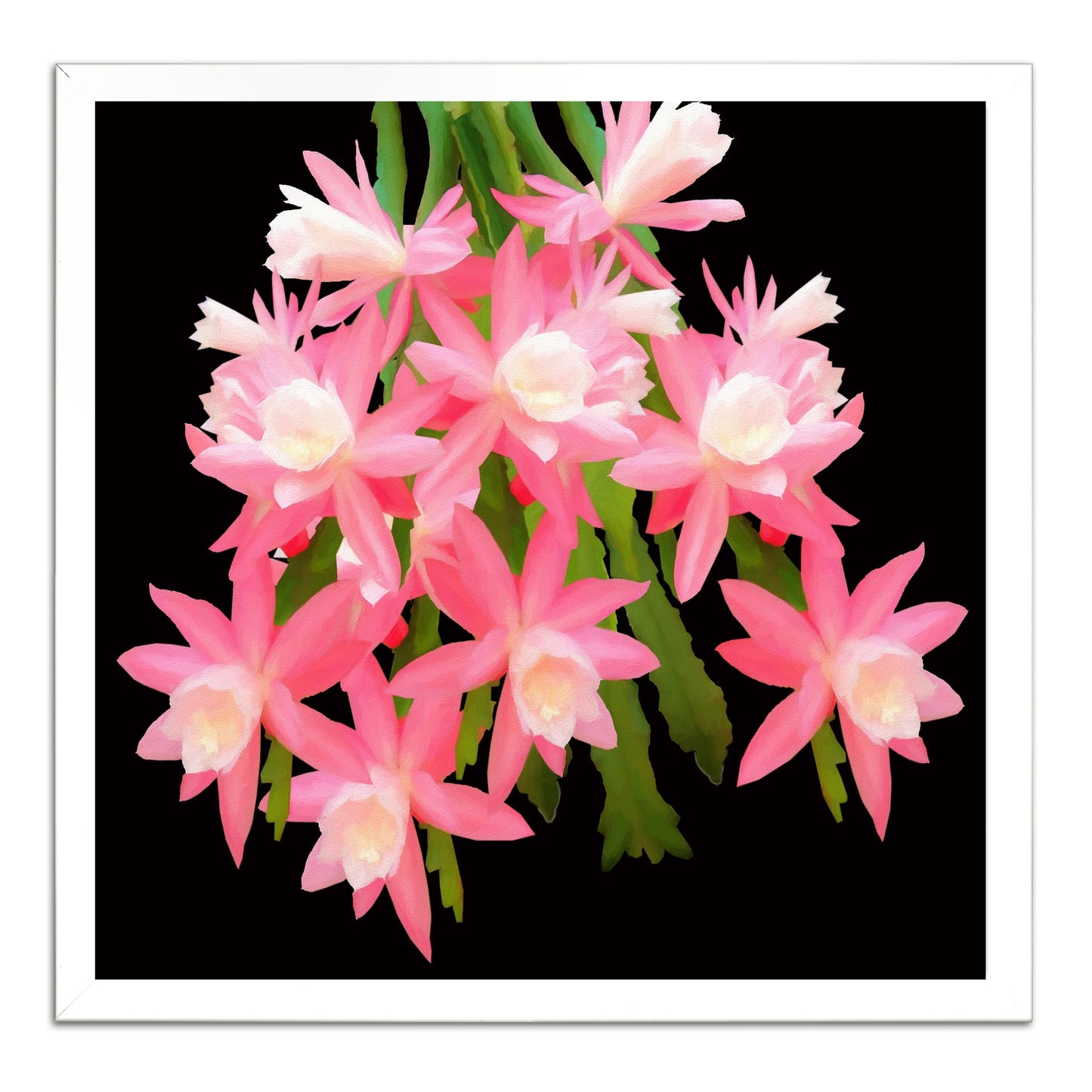 Cactus Flowers 483