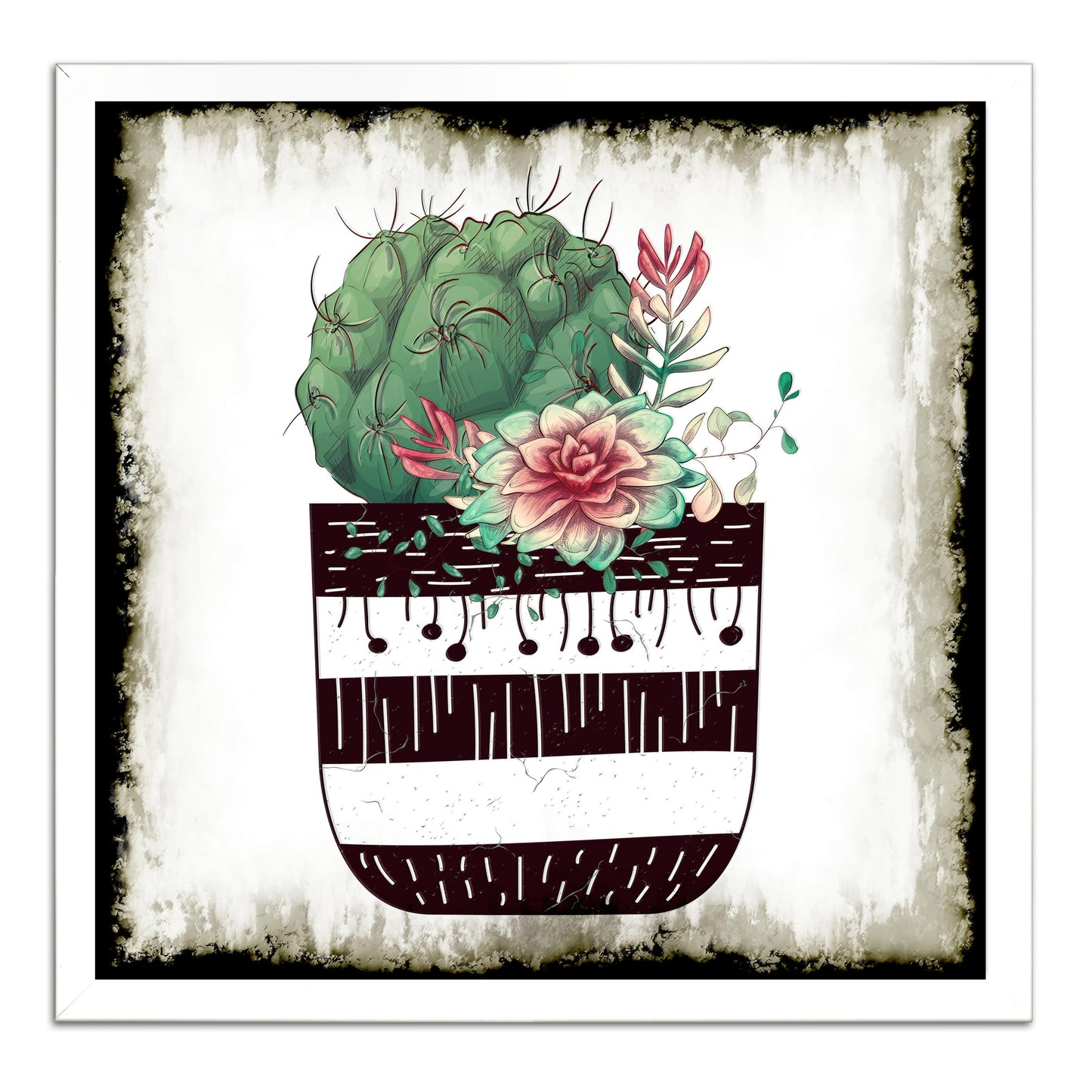 Cactus Succulents 649