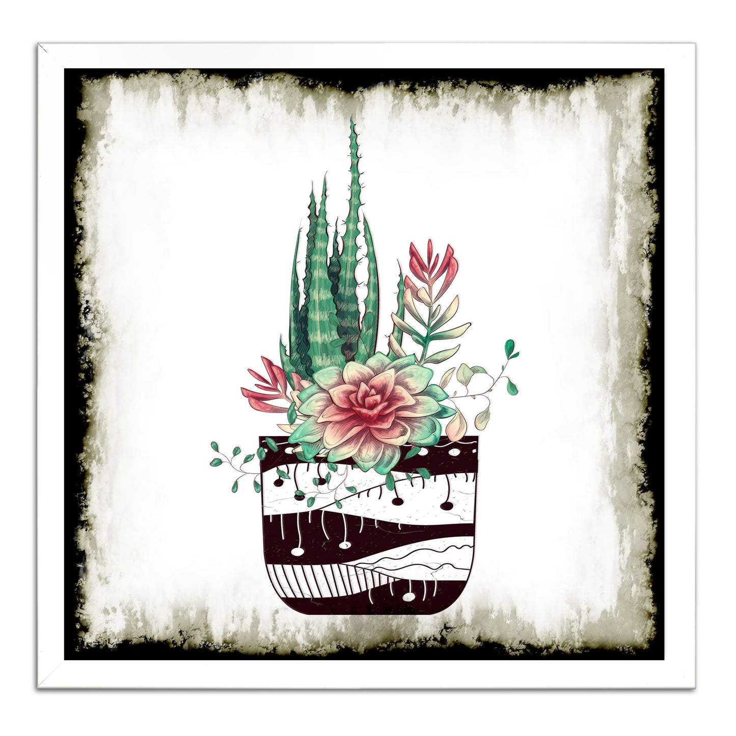 Cactus Succulents 650
