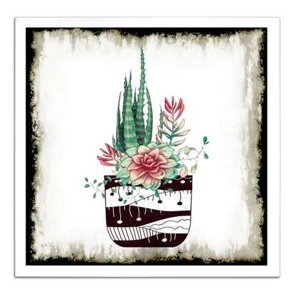 Cactus Succulents 650