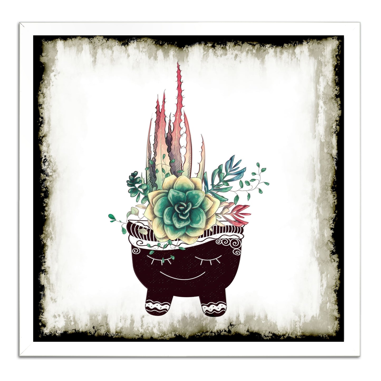 Cactus Succulents 651
