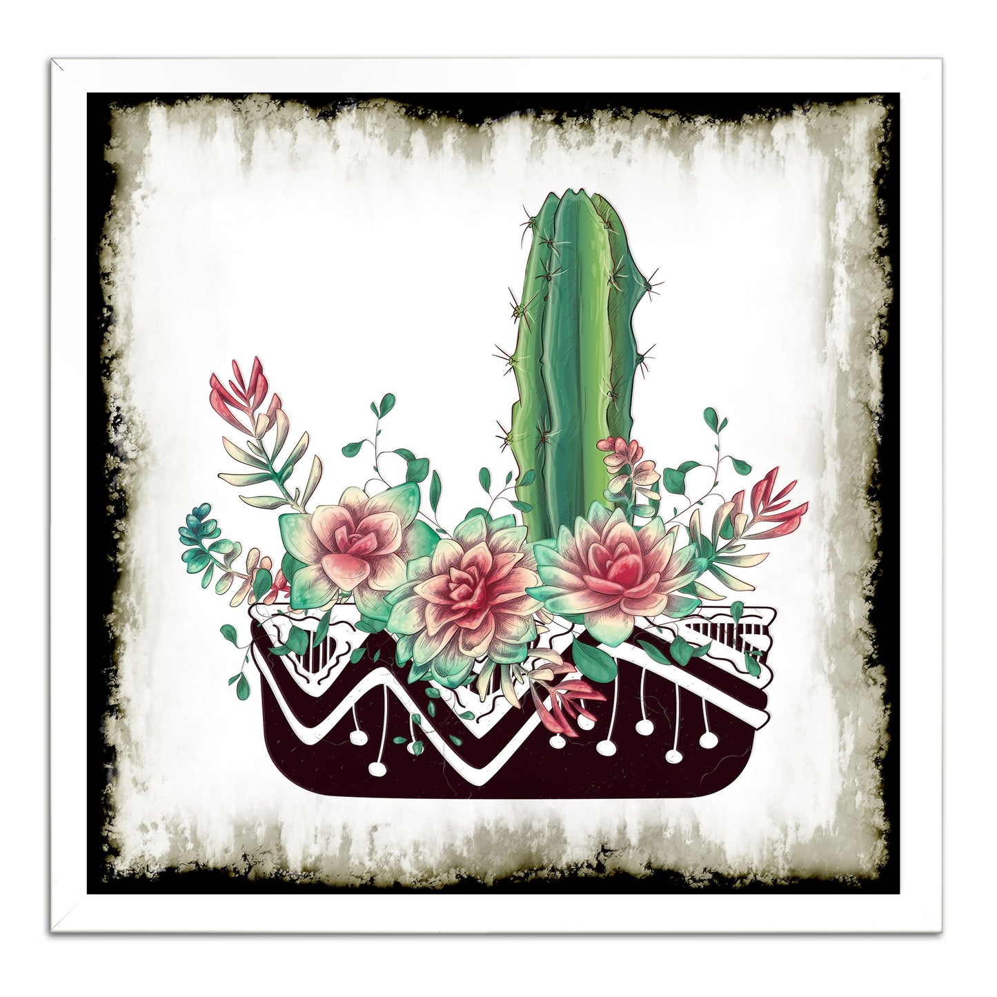 Cactus Succulents 652