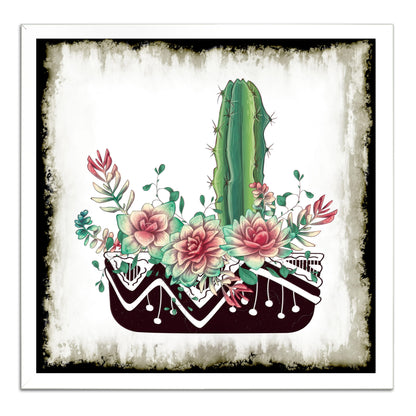 Cactus Succulents 652