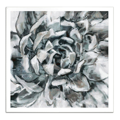 Cereus Aeonium