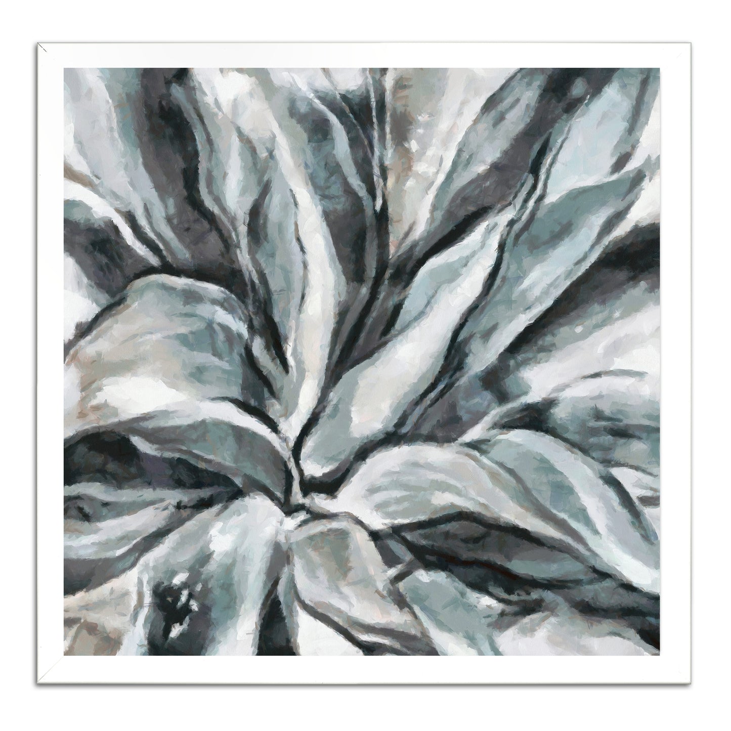 Cereus Aloe