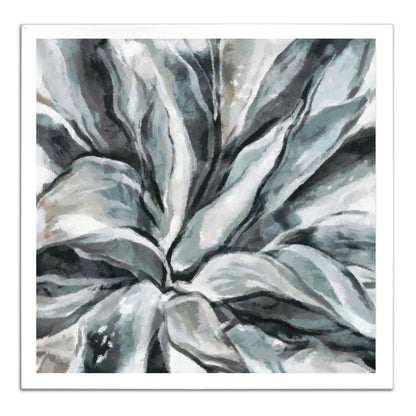 Cereus Aloe