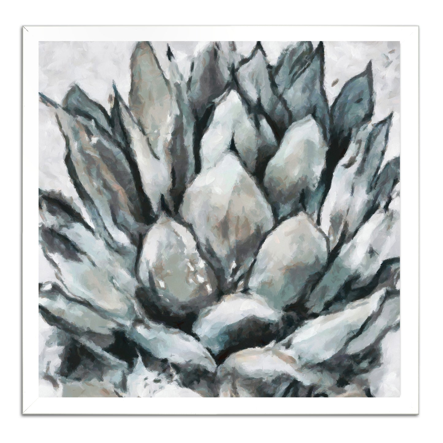 Cereus Echeveria