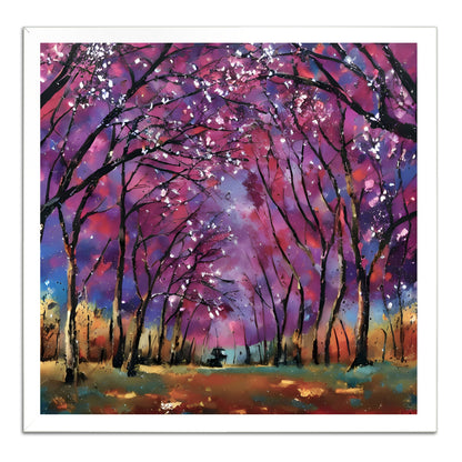 Cherry Blossoms