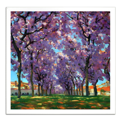 Cherry Trees Blossoming