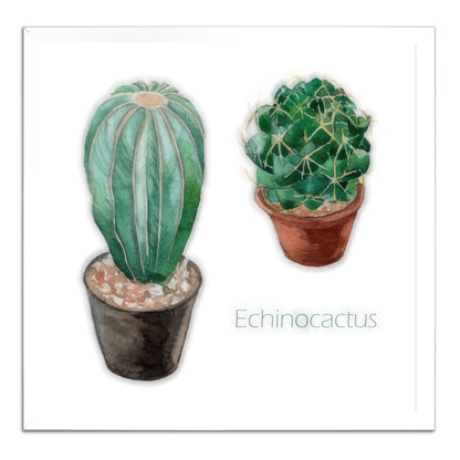 Echinocactus I
