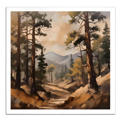 Misty Forest Trail