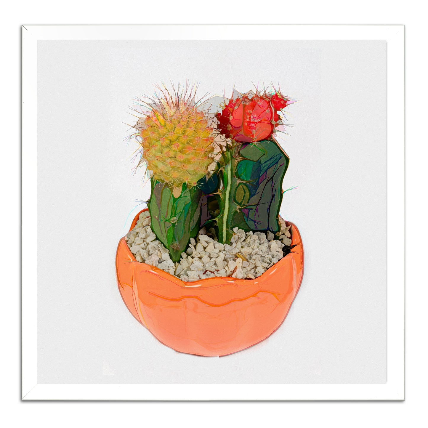 Potted Cactus 177