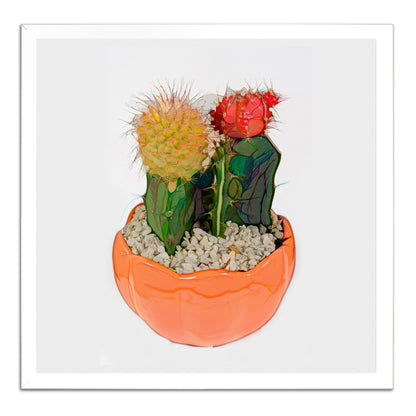 Potted Cactus 177