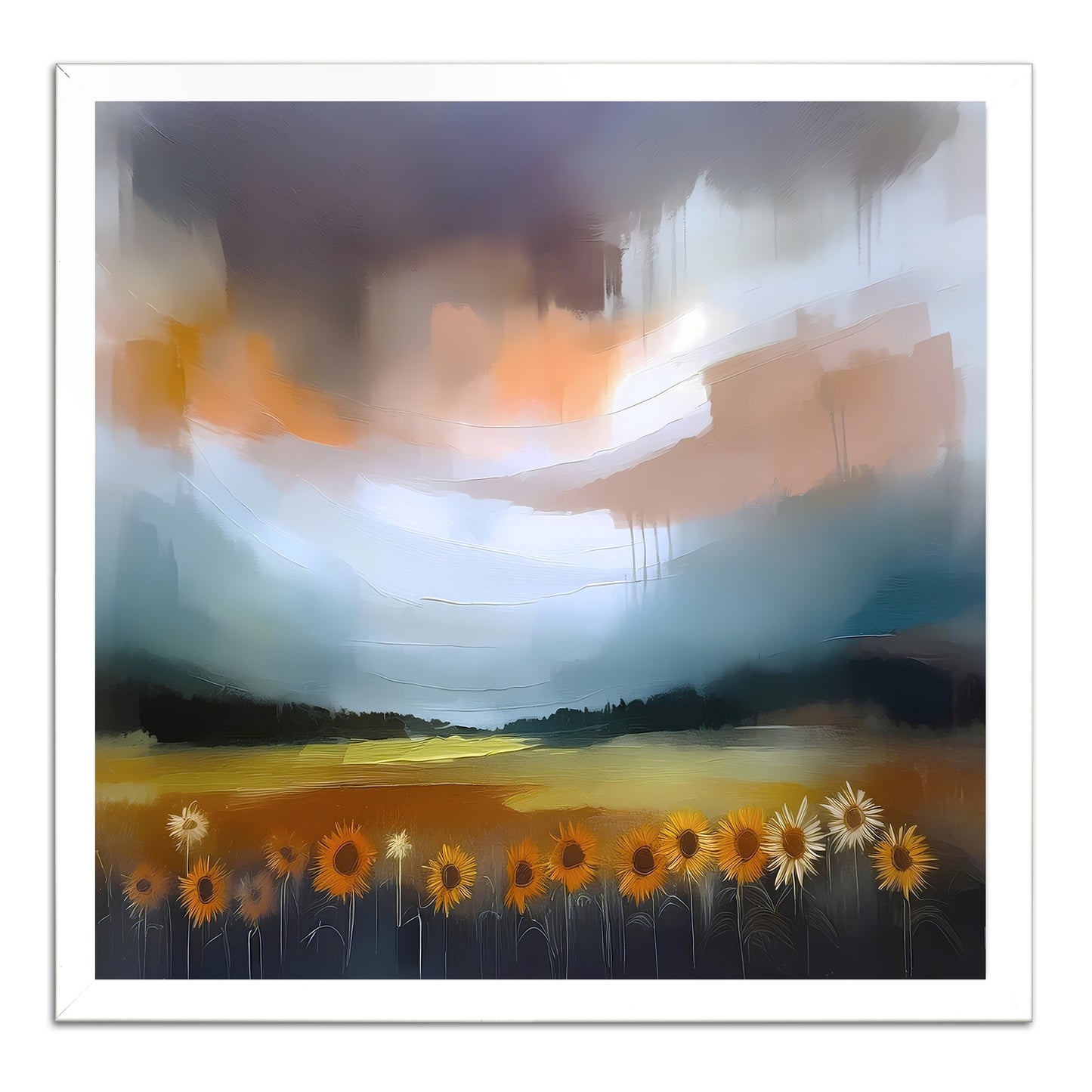 Sunflower Fields In Provence