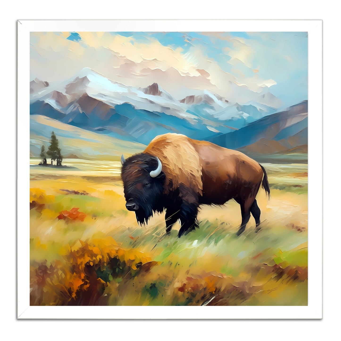 Wyoming Bison