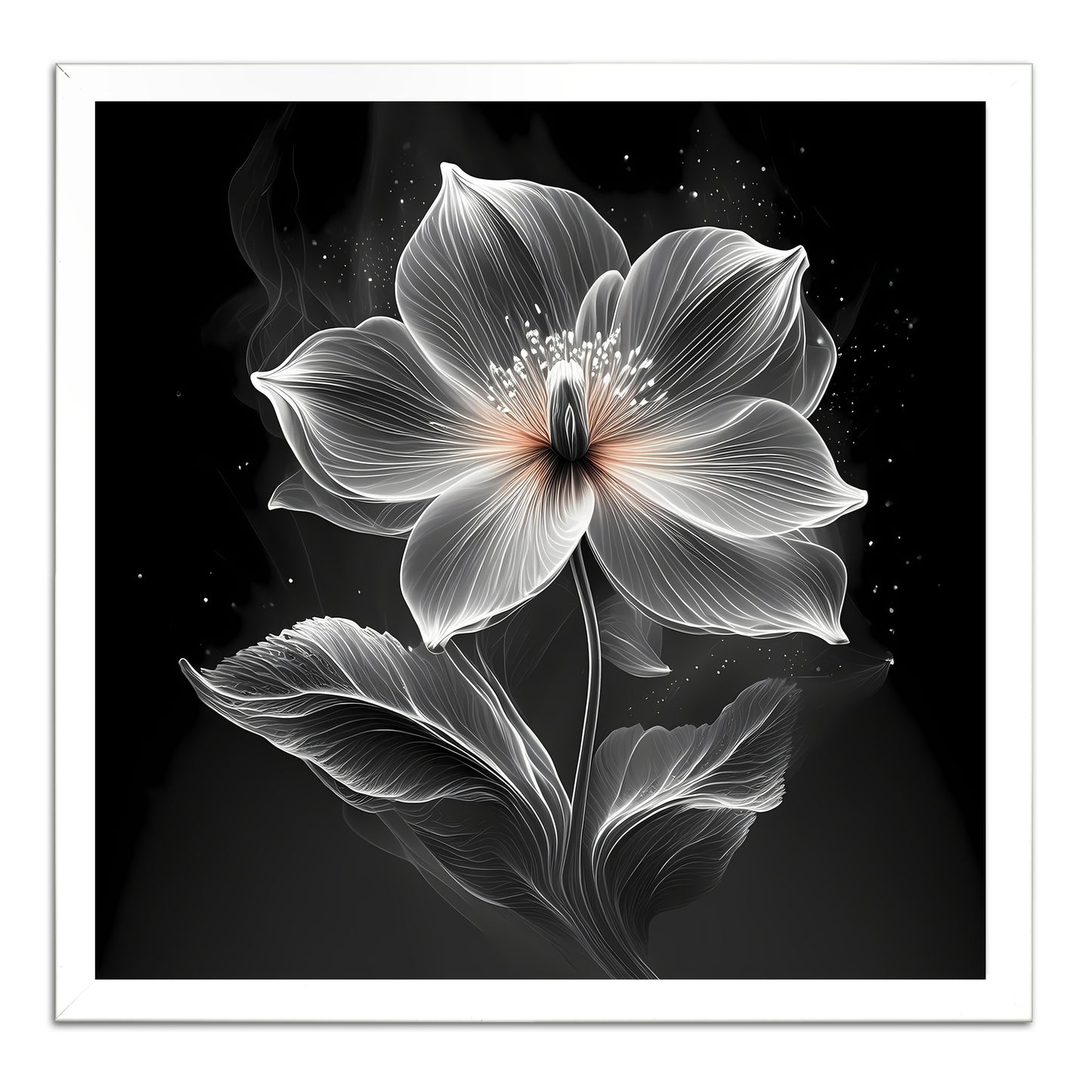 Xray Jasmine I