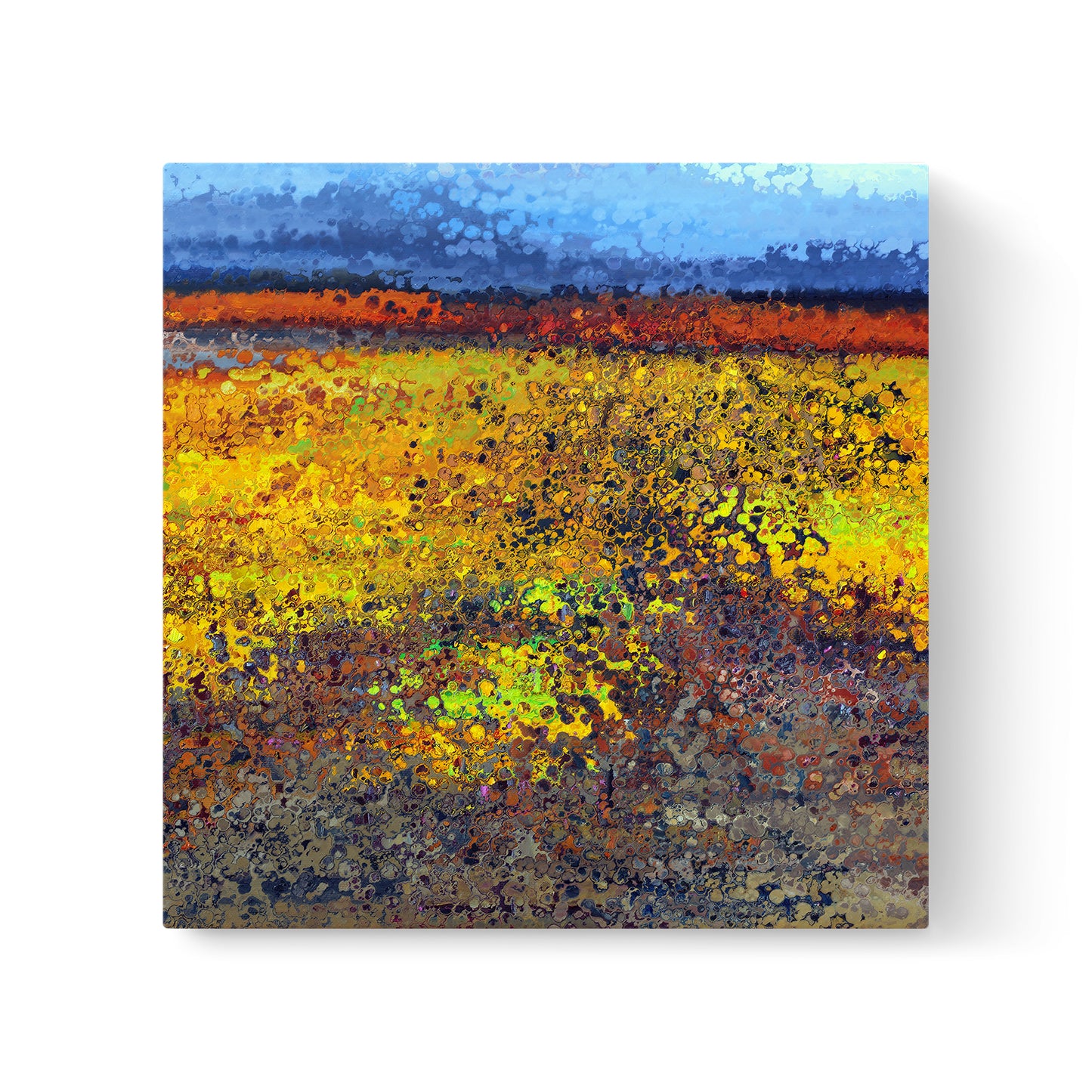 Field Of Dreams I Painting Print